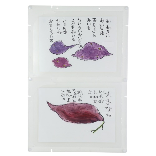 縦横連結掲示ホルダーA4 クリア