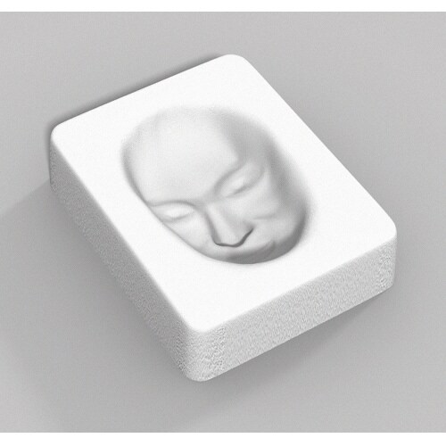 トリック自画像