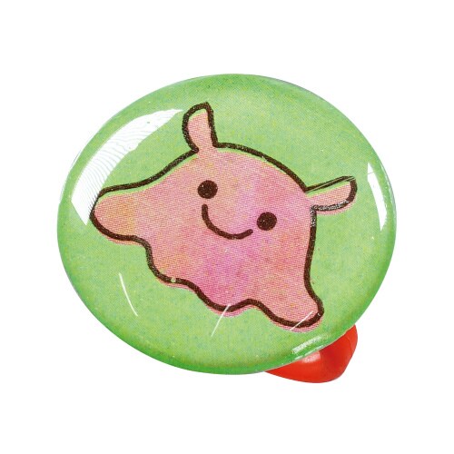 レジンで作るアクセサリーキット うみのいきもの