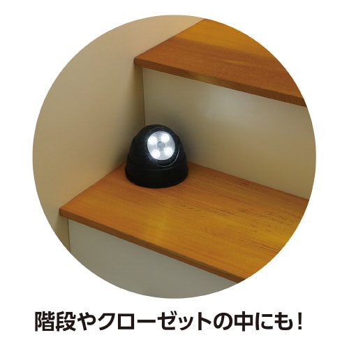 人感センサーライト(ダミーカメラ型)