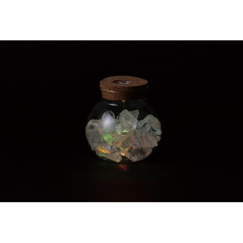 透明鉢(ライト付)