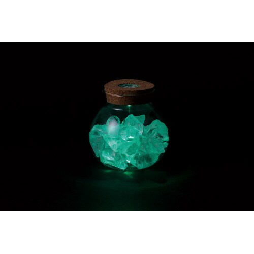 透明鉢(ライト付)