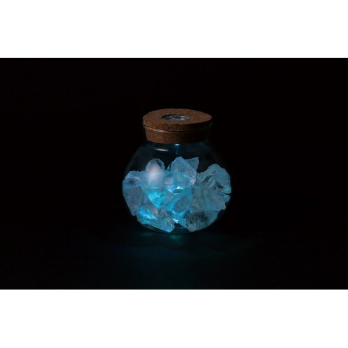 透明鉢(ライト付)