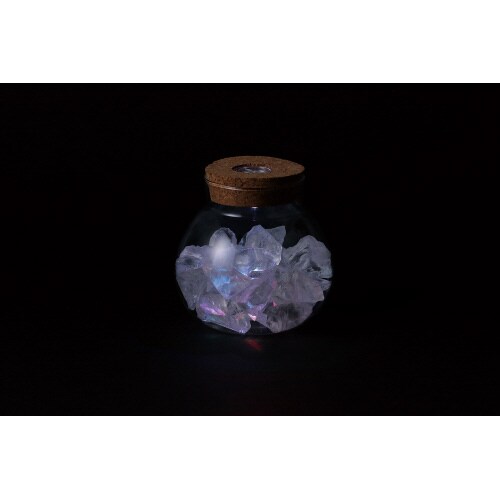 透明鉢(ライト付)