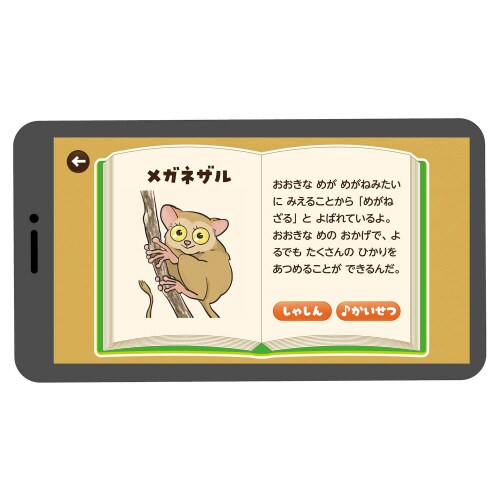 まねしてかいていきものはかせ