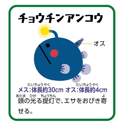 ふかいうみのいきものバランスゲーム