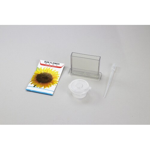 身の回りの生物(植物)A