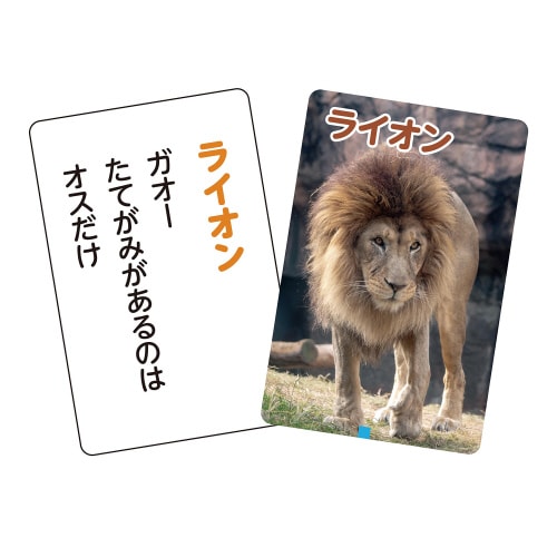 これはなんの音?かるたーいきものー