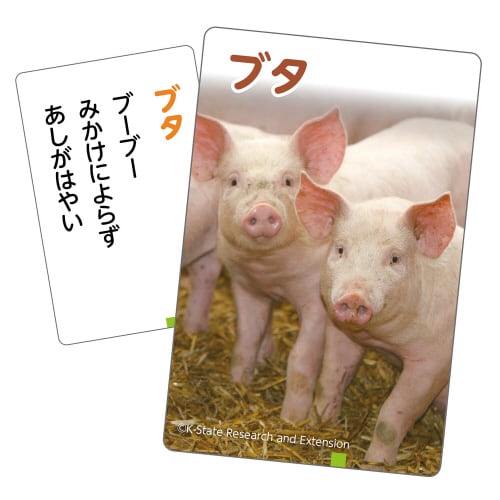 これはなんの音?かるたーいきものー