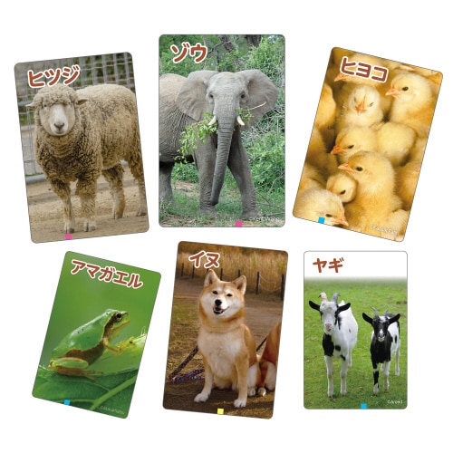 これはなんの音?かるたーいきものー