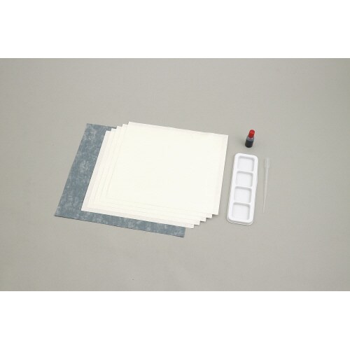 水墨画個人セット 展示台紙付