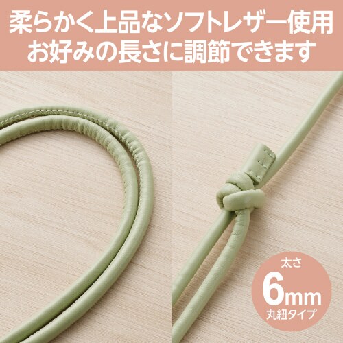 エレコムP−STSDH2LR06GN