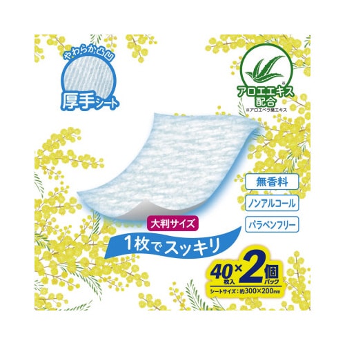こころ想い からだふき大判厚手 40枚×2P
