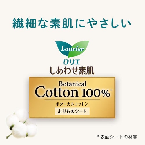 ロリエきれいスタイル極上W吸収無香料62コ入×6