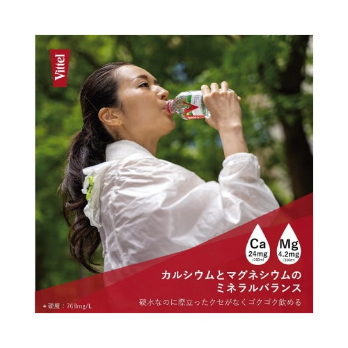 ヴィッテル PET 500ml×24本
