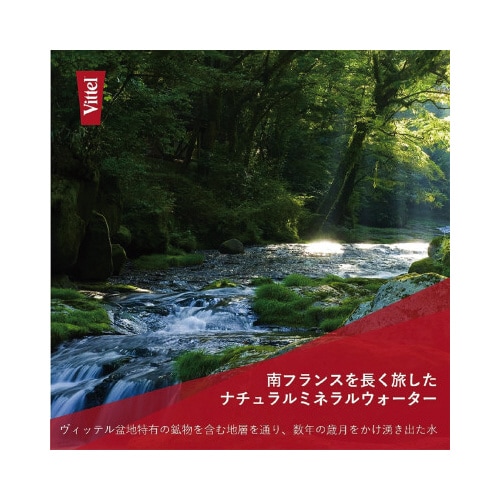 ヴィッテル PET 500ml×24本