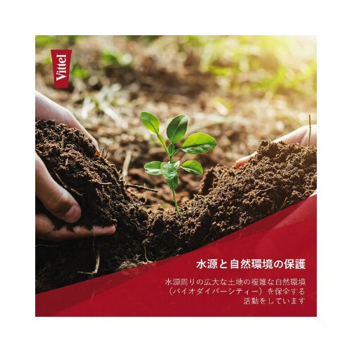 ヴィッテル PET 500ml×24本