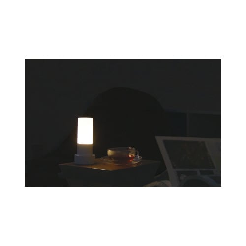 日常や災害時に活躍するサポートライト