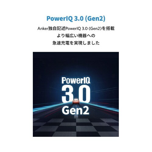 736 Charger(Nano ll 100W)