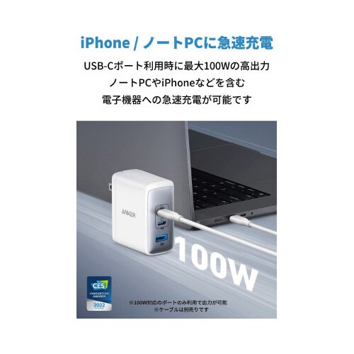 736 Charger(Nano ll 100W)