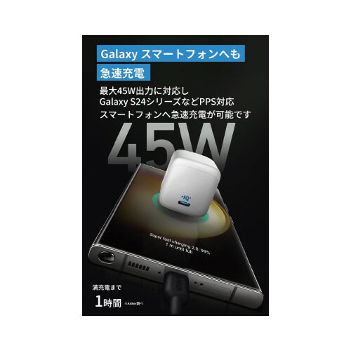 313 Charger (Ace, 45W)