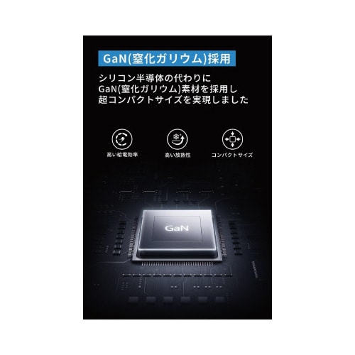 313 Charger (Ace, 45W)