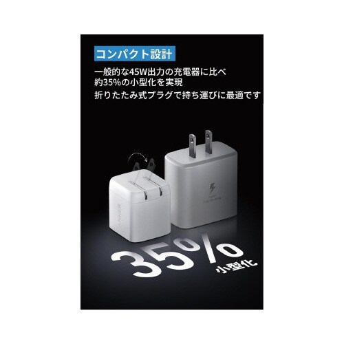 313 Charger (Ace, 45W)