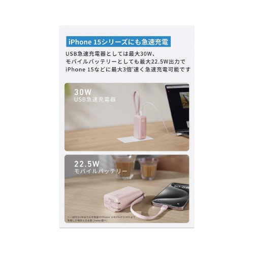 PowerBank30W BuiltInCable