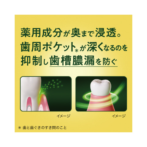 fB[vN[@pt̃n~KL