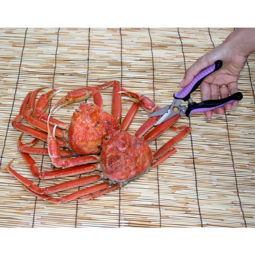 万能ハサミMr.カット