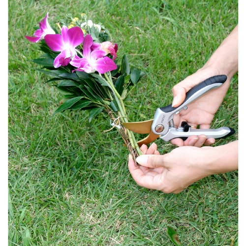 チタンプロ剪定鋏