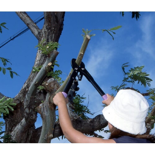 太枝切りハサミ