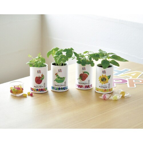 なかよし栽培セット