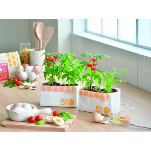 エッグシェル栽培セット