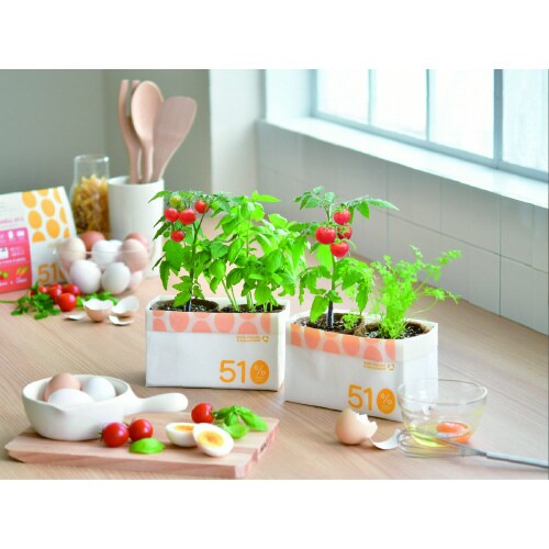 エッグシェル栽培セット