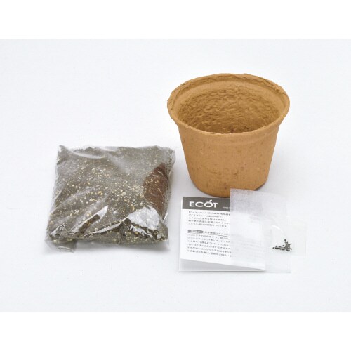 エコット(S)カモミール