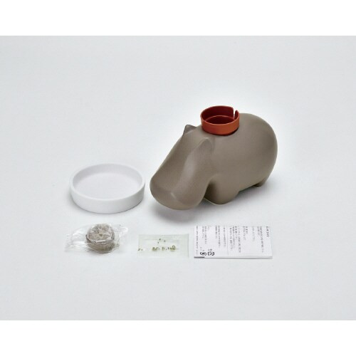 ヒポポプラント