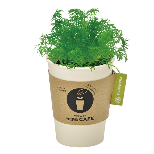 育てるカフェカモミール