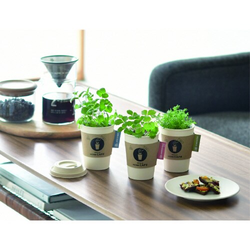 育てるカフェカモミール