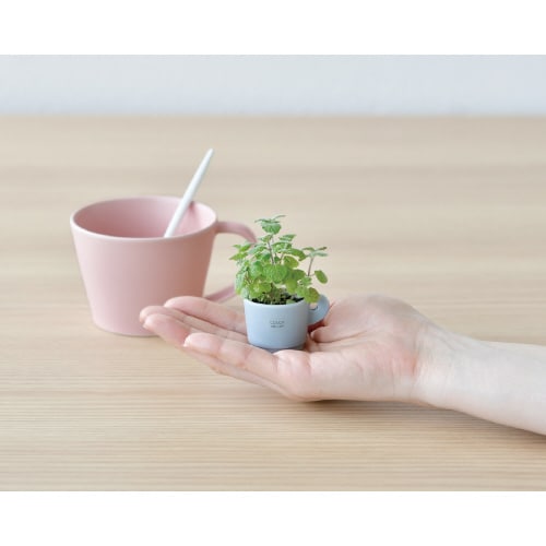 カラーミーアップマグ