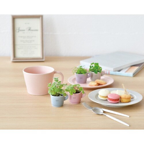 カラーミーアップマグ