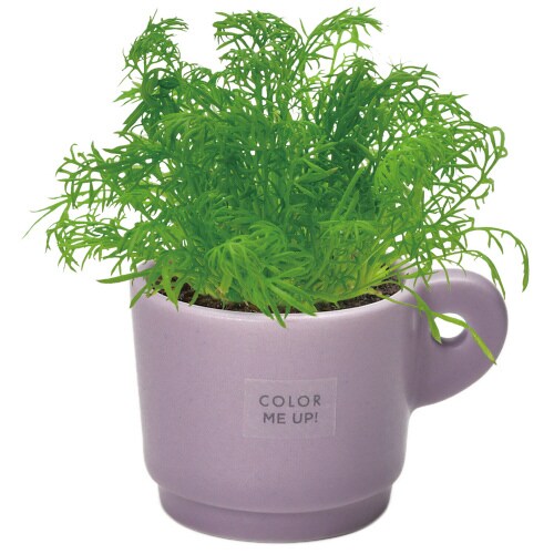 カラーミーアップマグ