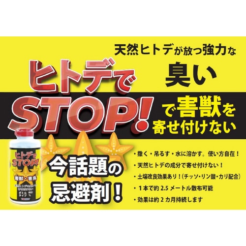 ヒトデでストップ!