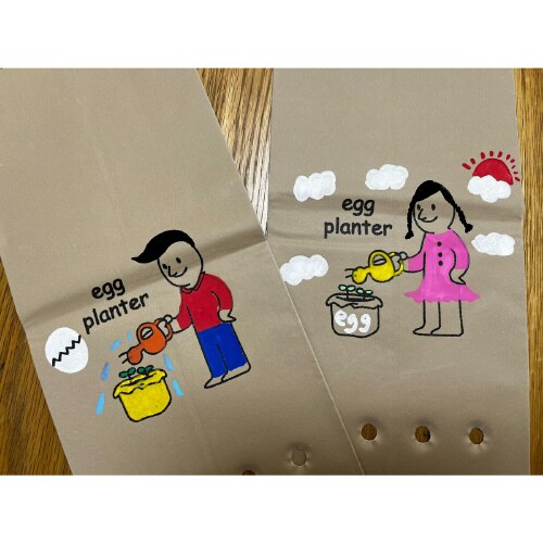エッグプランター10枚入
