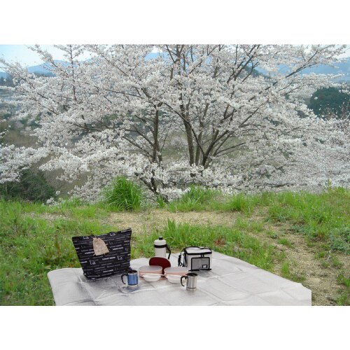 行楽・お花見シート