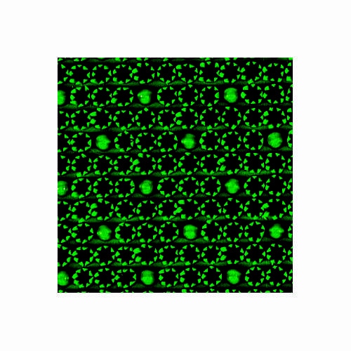 エルバーマット96×126