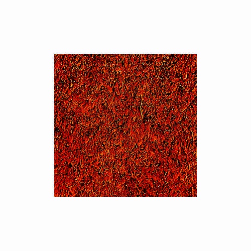 パーム靴マット60×90