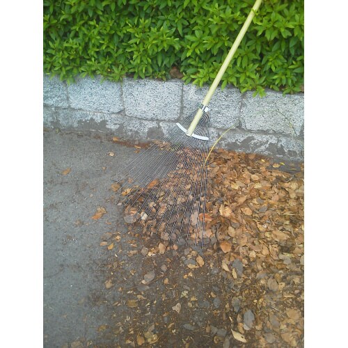 ワイドくまで中線