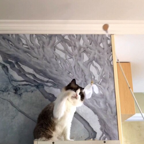 ねこじゃらしDX