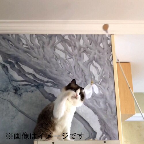 ねこじゃらしDX